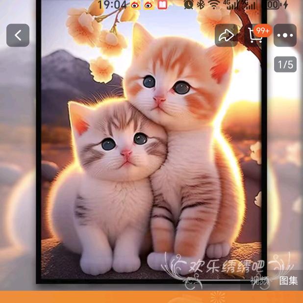 浙&依依