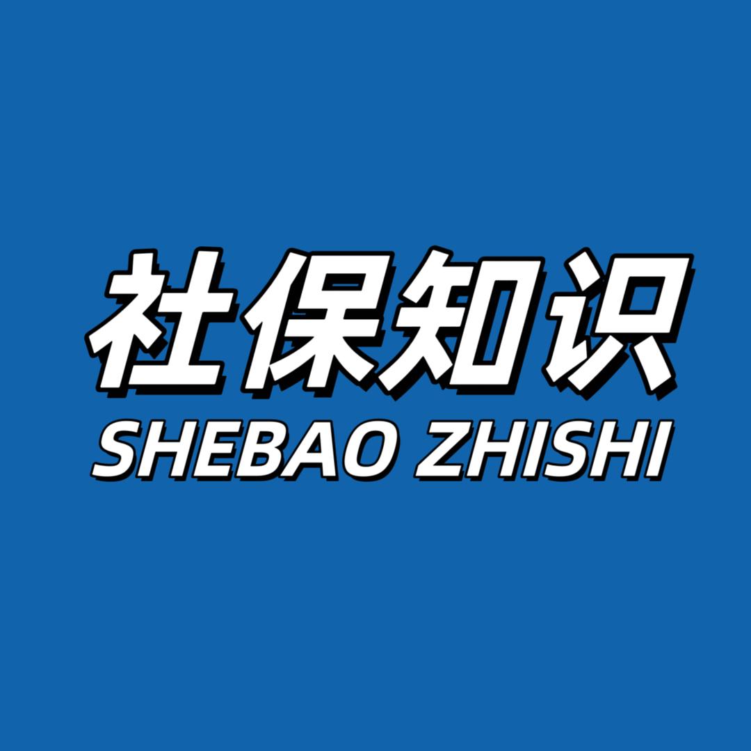 社保是这样的