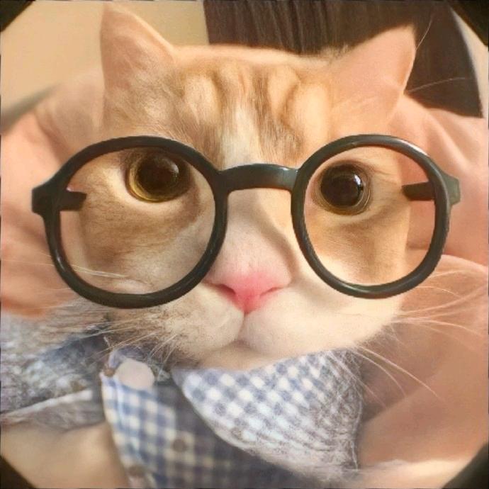 闫某人