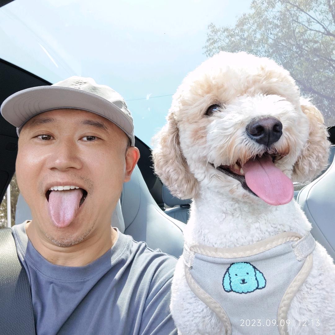 网约车元婴期黄老魔