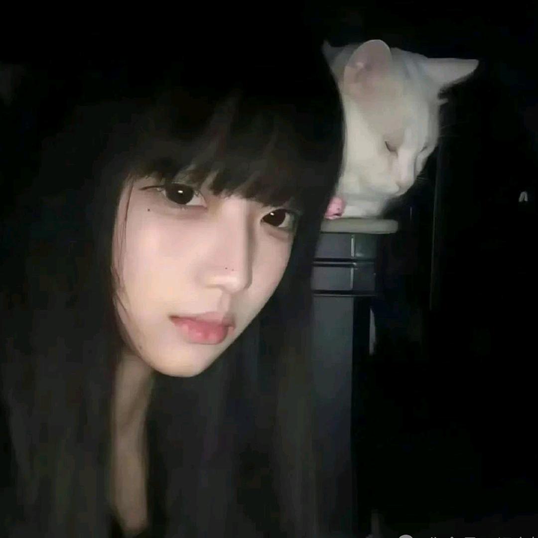 茉莉蜜茶.