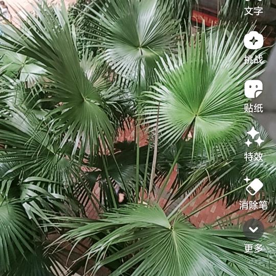 在水一方