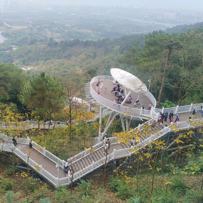 小助理