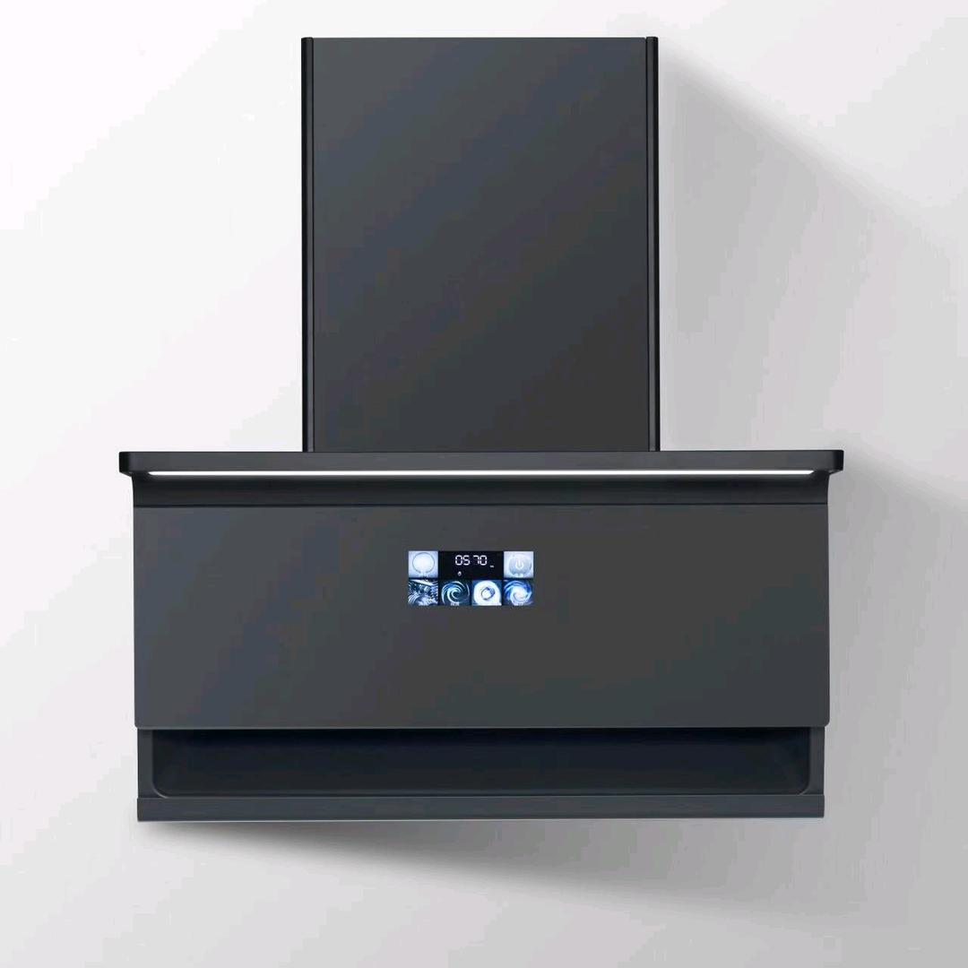 浙江科音，好太太电器总部胡朝阳