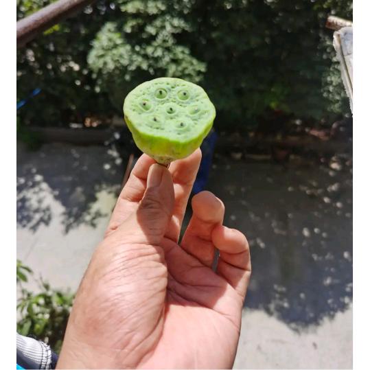 越来越好！越来越兴旺