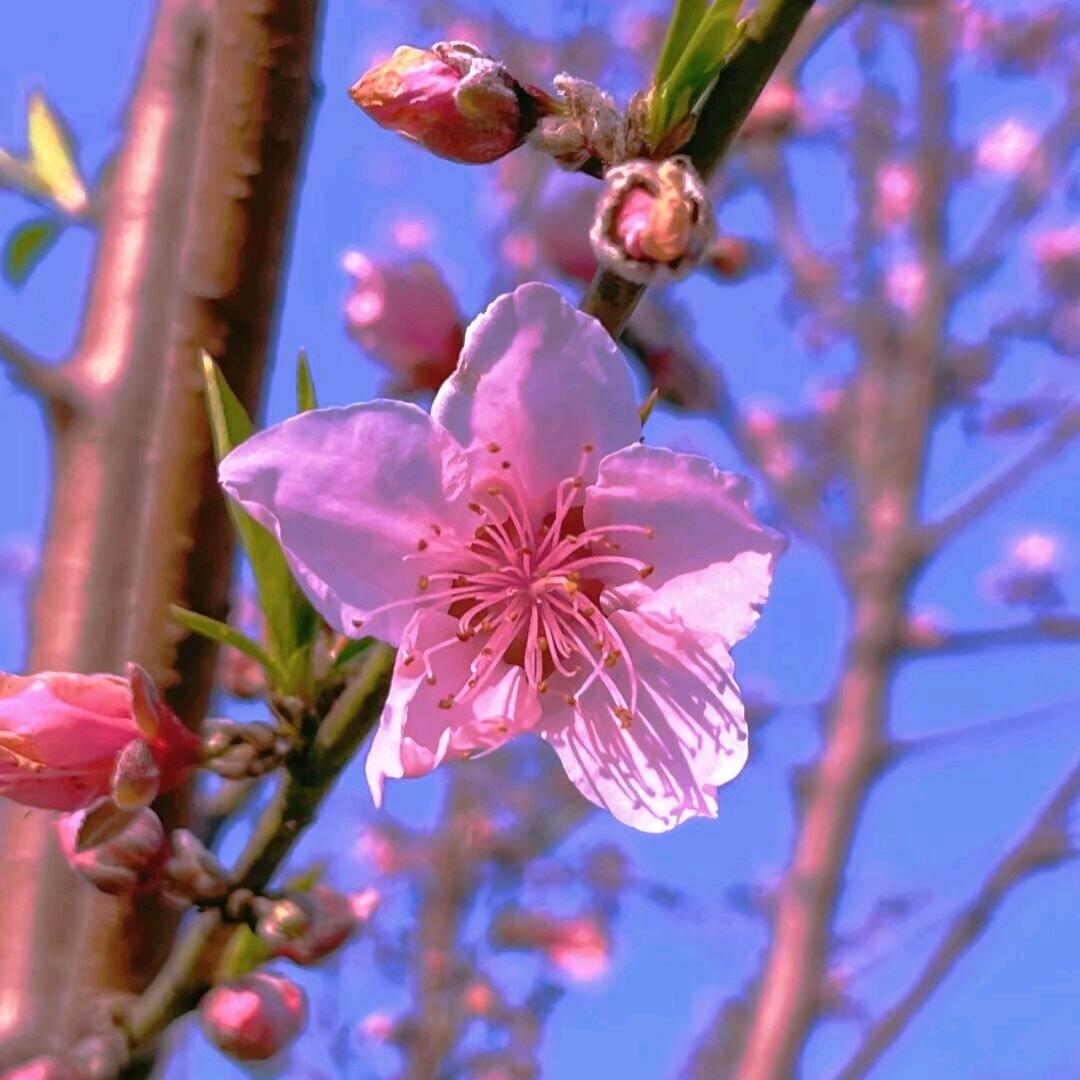 会聚一家人^/#🌹🍒