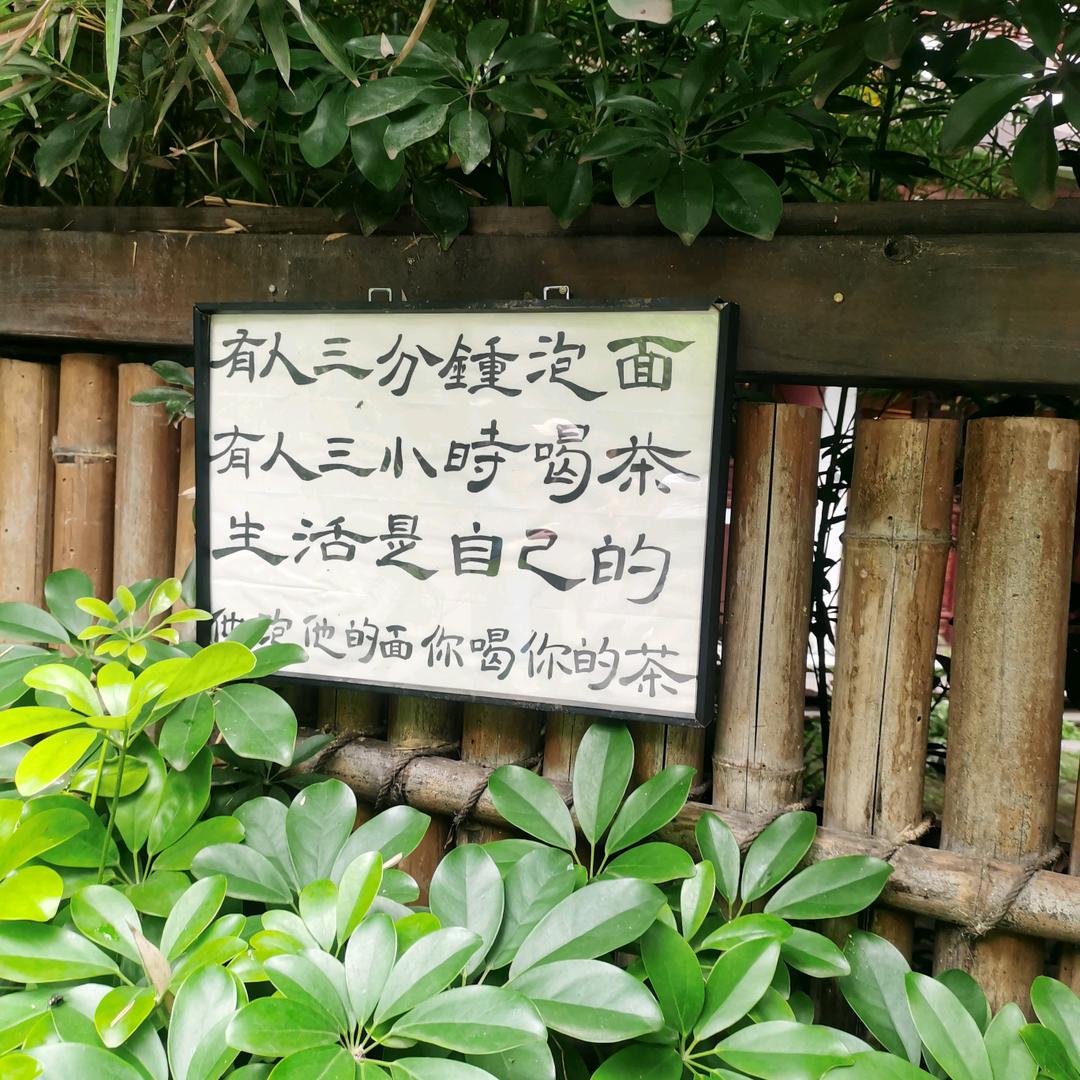 和光同尘