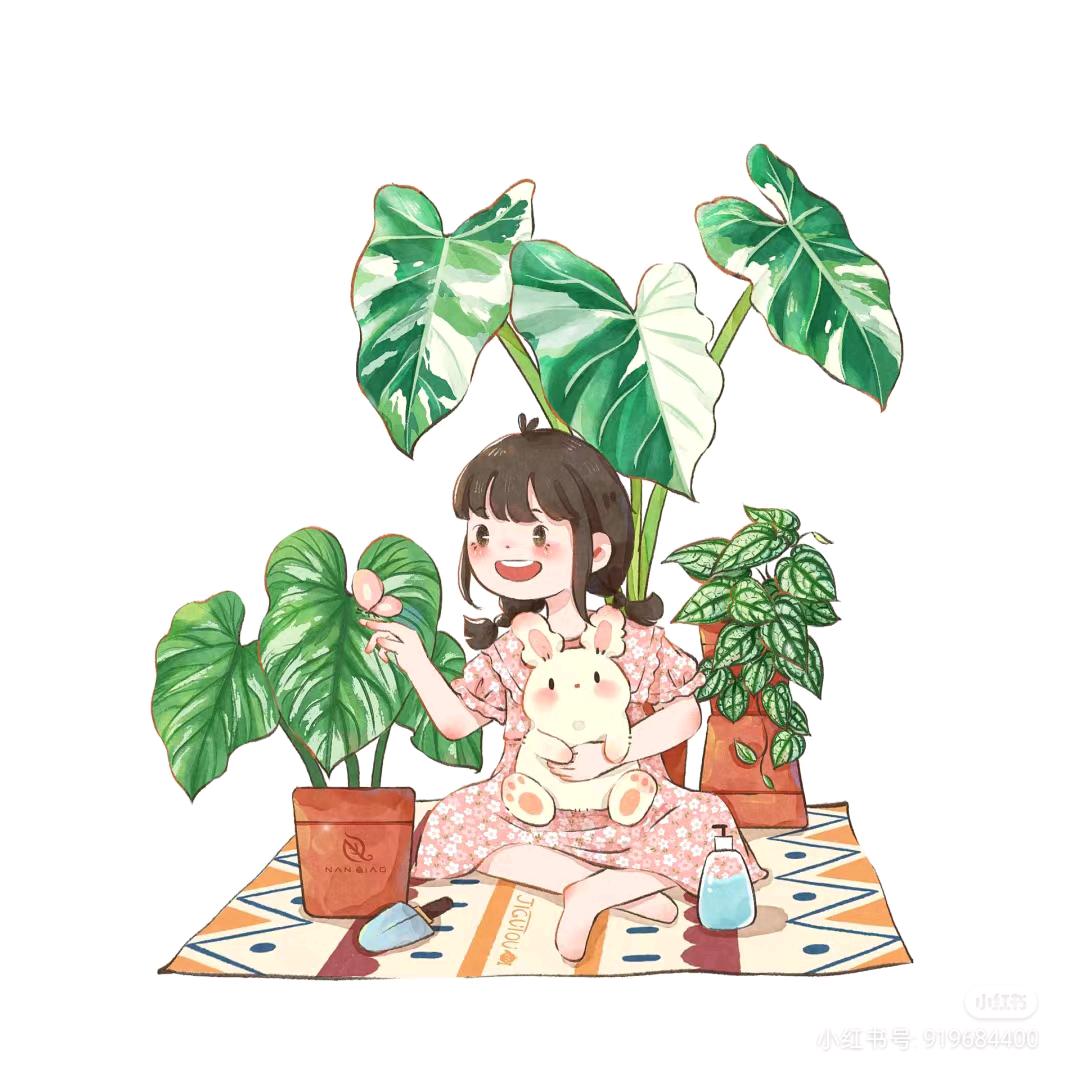 杨椿绿植