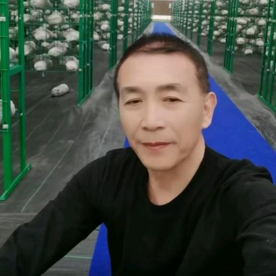 仙芝哥
