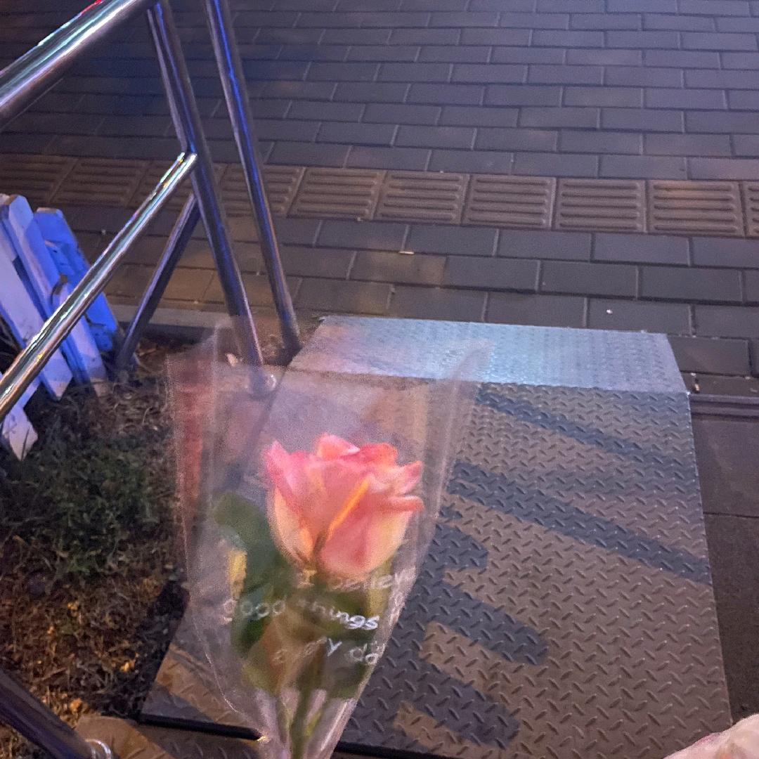 张桃🍑子