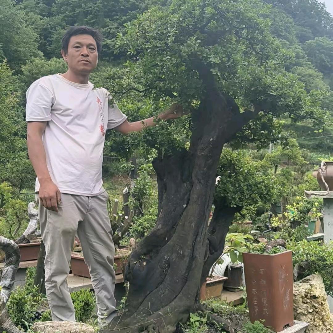 巡桩者