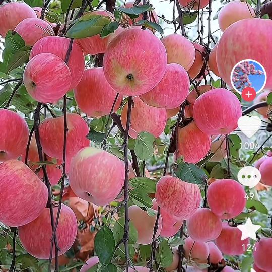 平安健康🍎