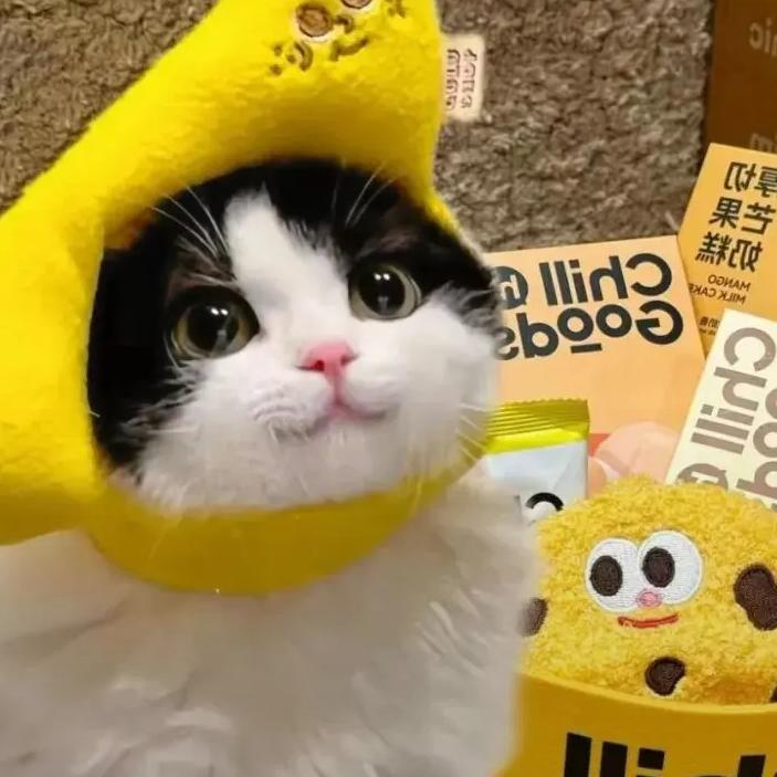 ƪ(˘憨憨猫 💫
