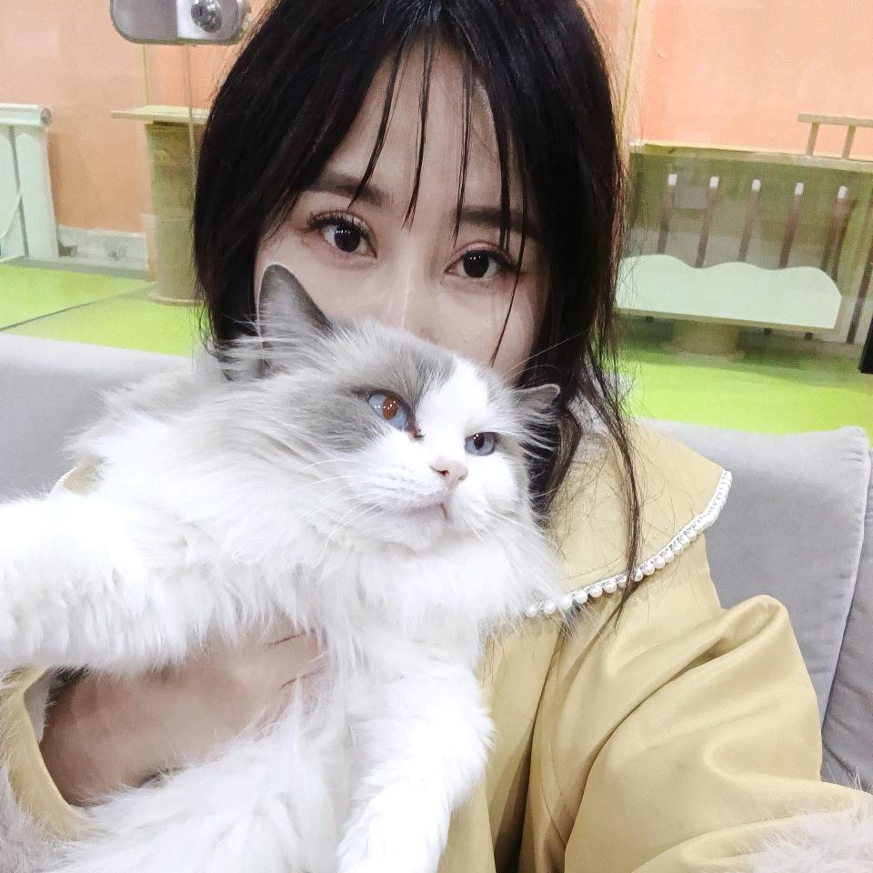 慧发宠物