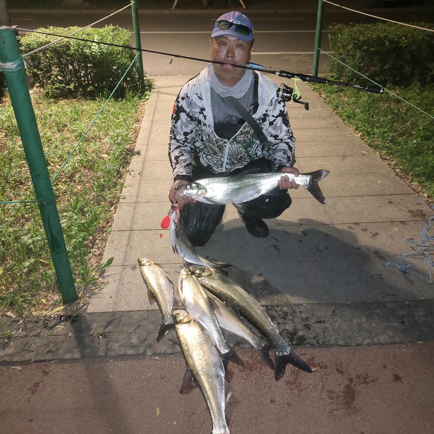 呀呀咿呀嘿 🎣𓆡 𓆜