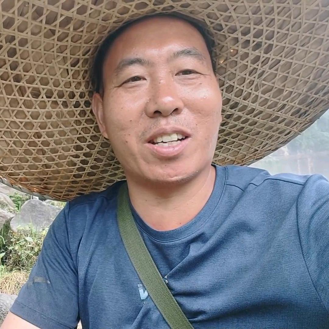 森林
