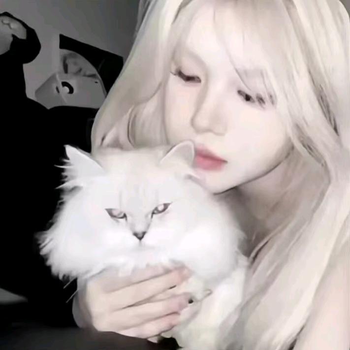 柚子不ku🍋‍🟩