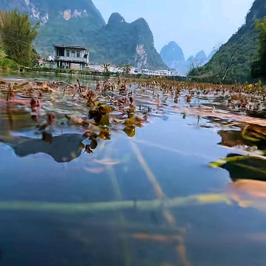 无法弥补的遗憾