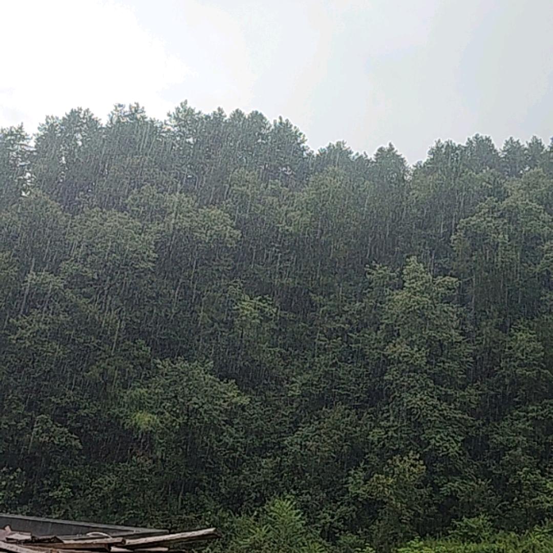 专业盖房白玉