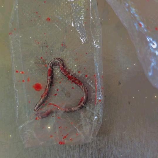 一切随缘