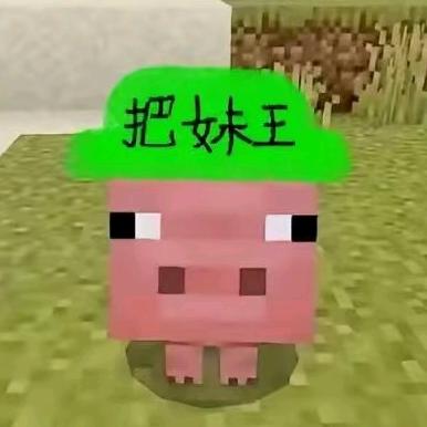 宁阿岚.