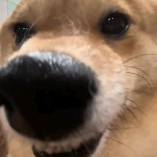 十五歲嘅李