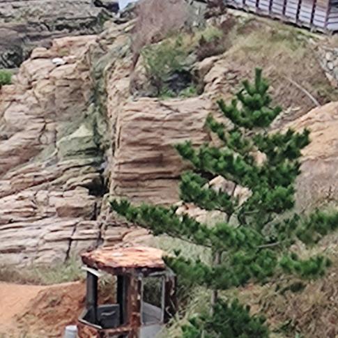 骑着蜗牛追导弹