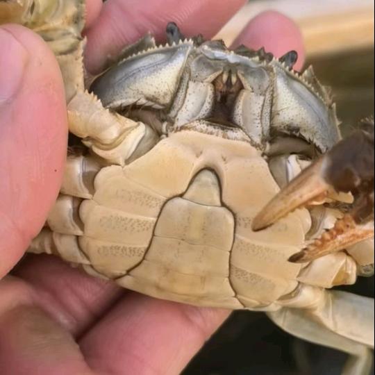 .ཀོ多财多亿ོ