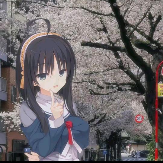 均时予安