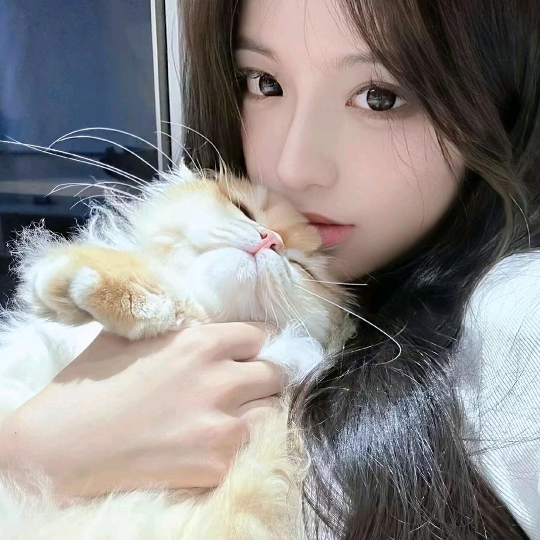 下水道在逃美人鱼