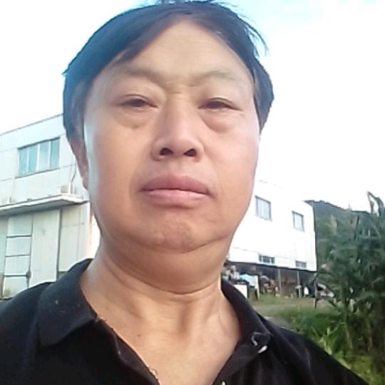 夕阳红