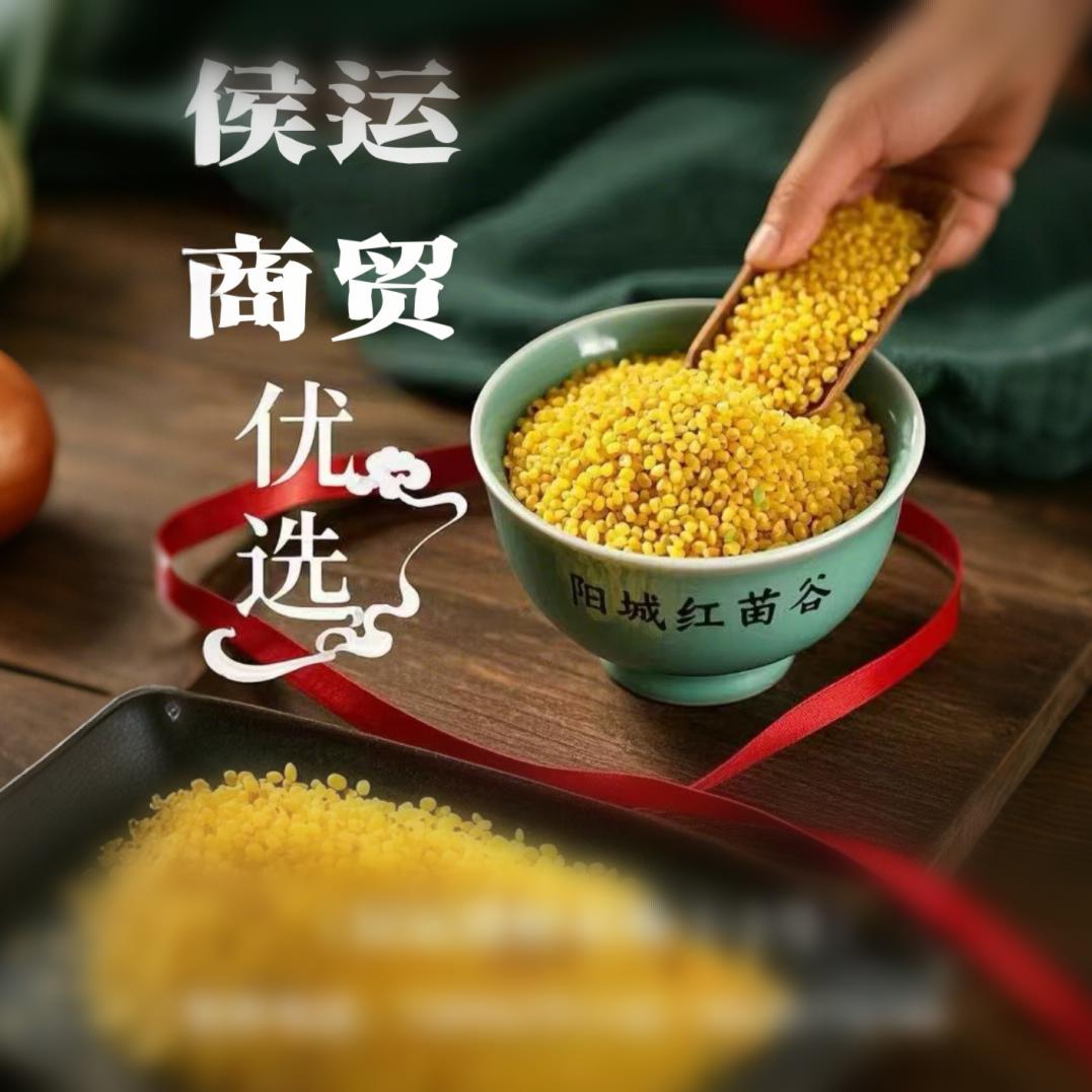 侯运商贸优选