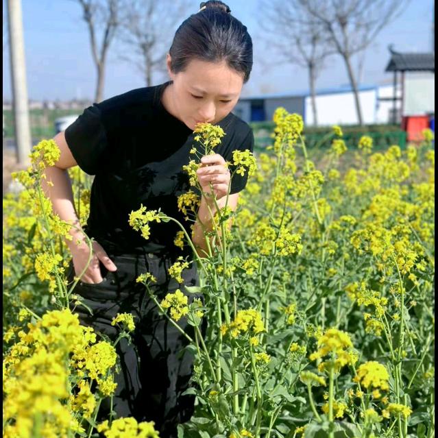 河南牛姐