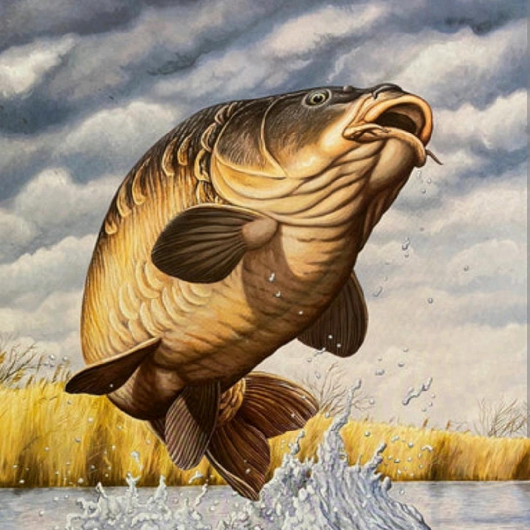 兄弟🐠户外冬捕