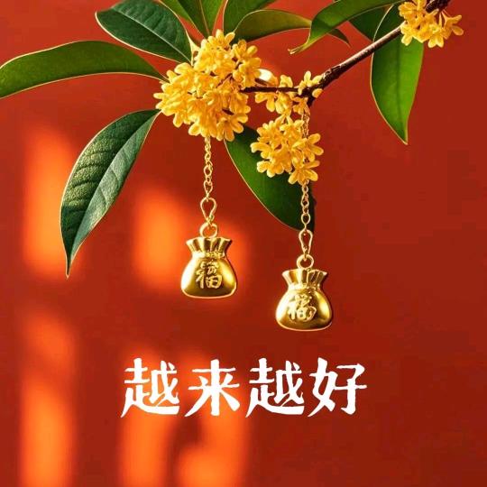 森芳阁