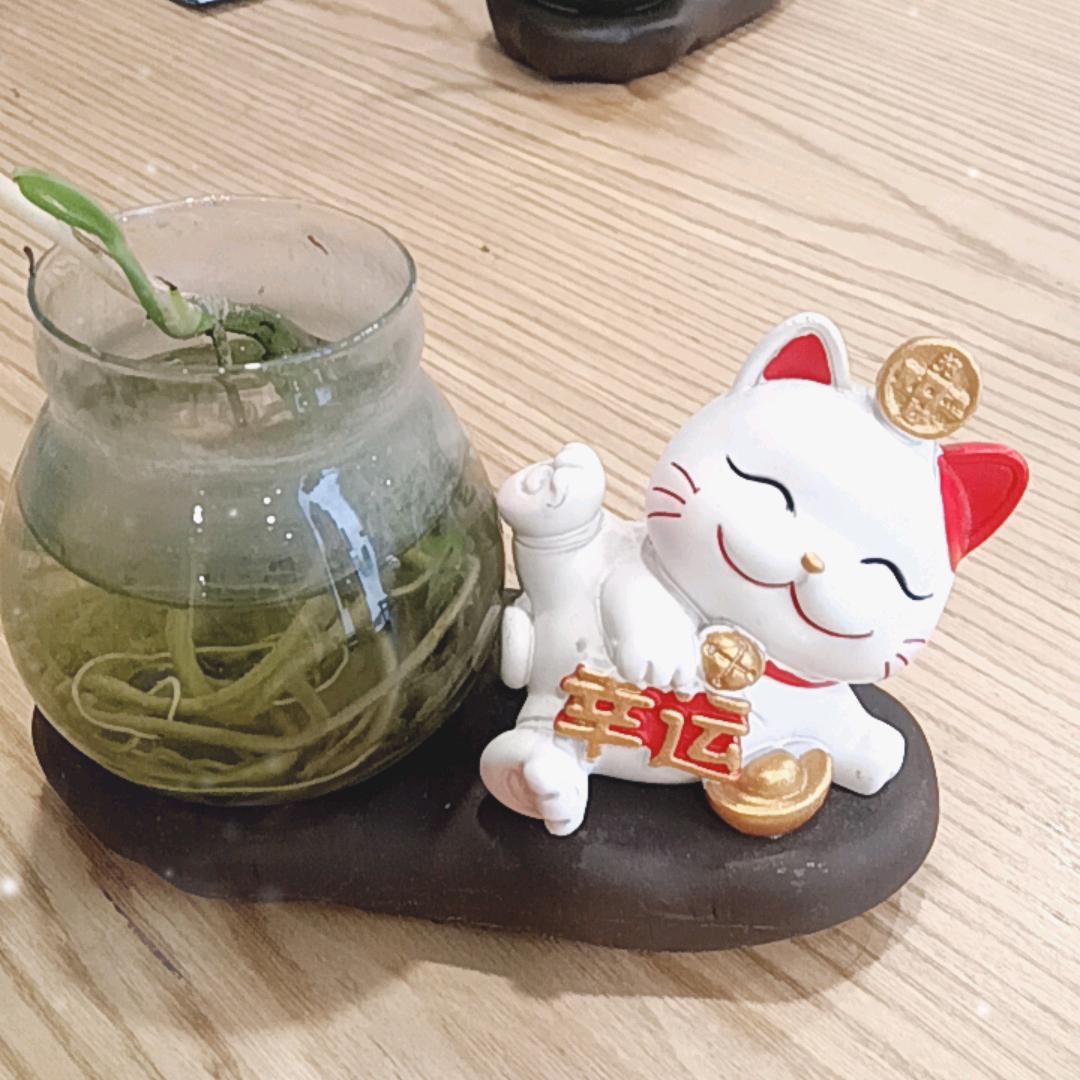 婉云
