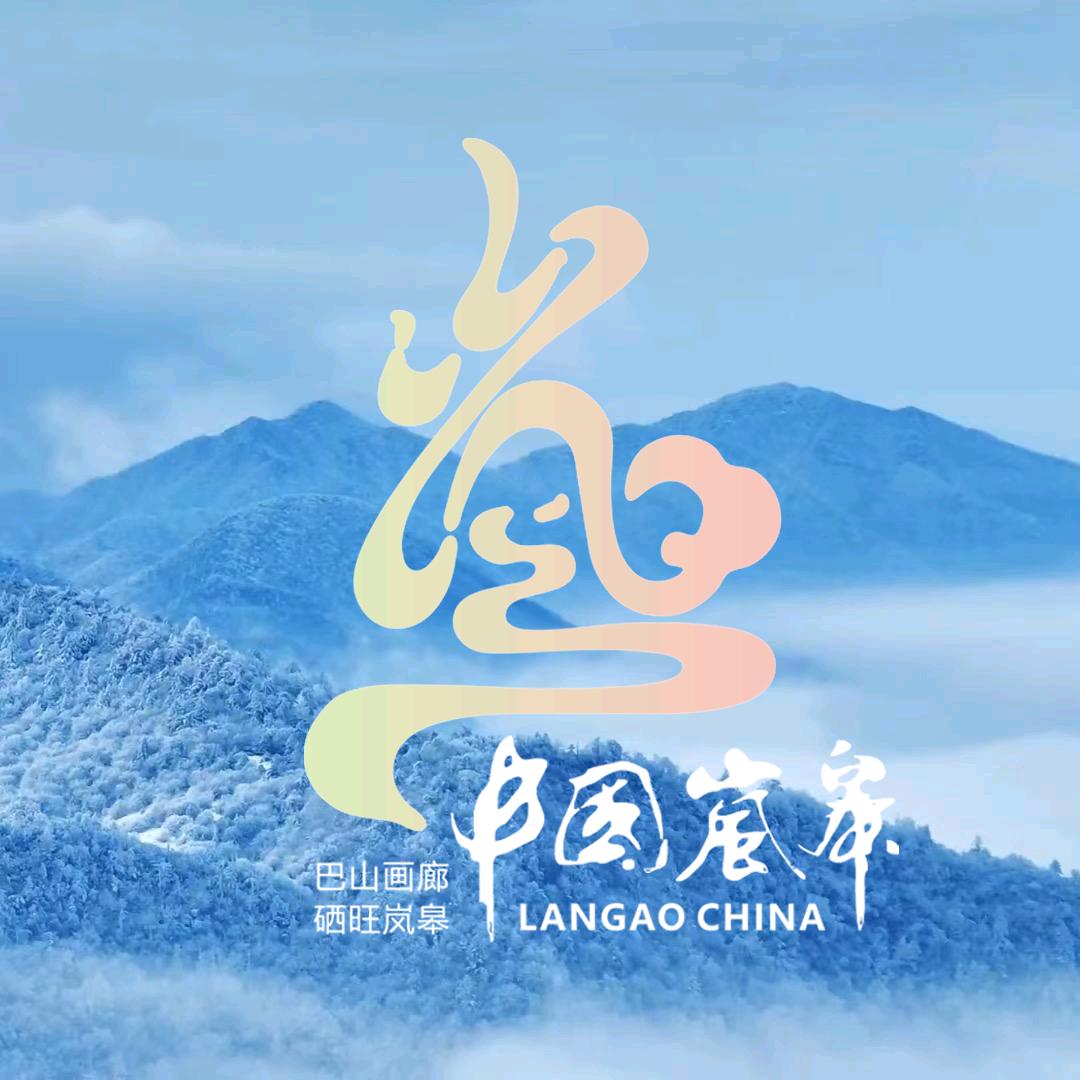岚皋村BA现场