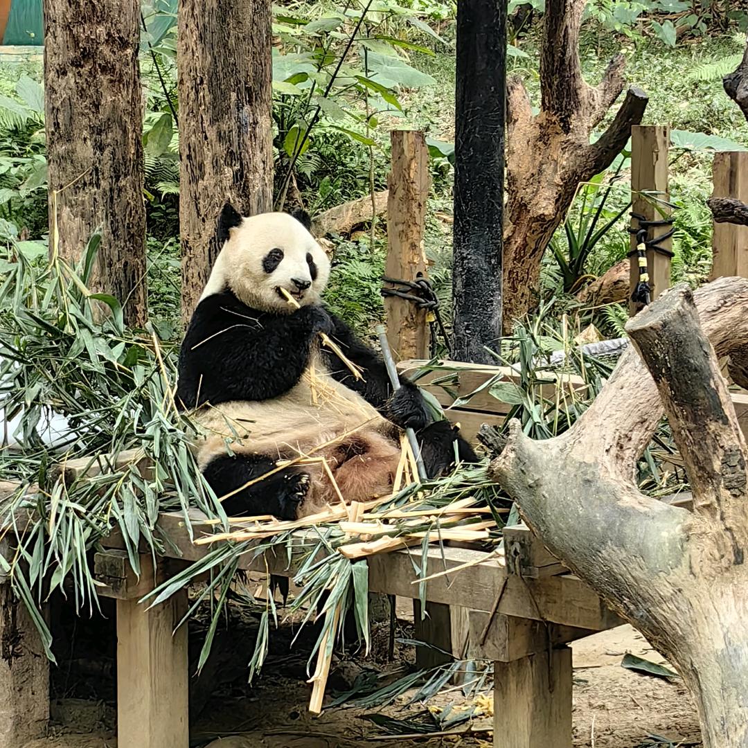 无事人