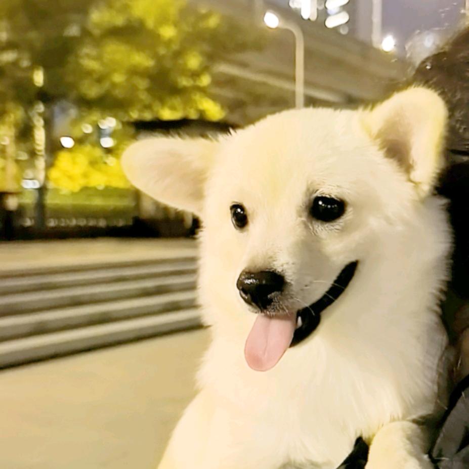 小小的太阳