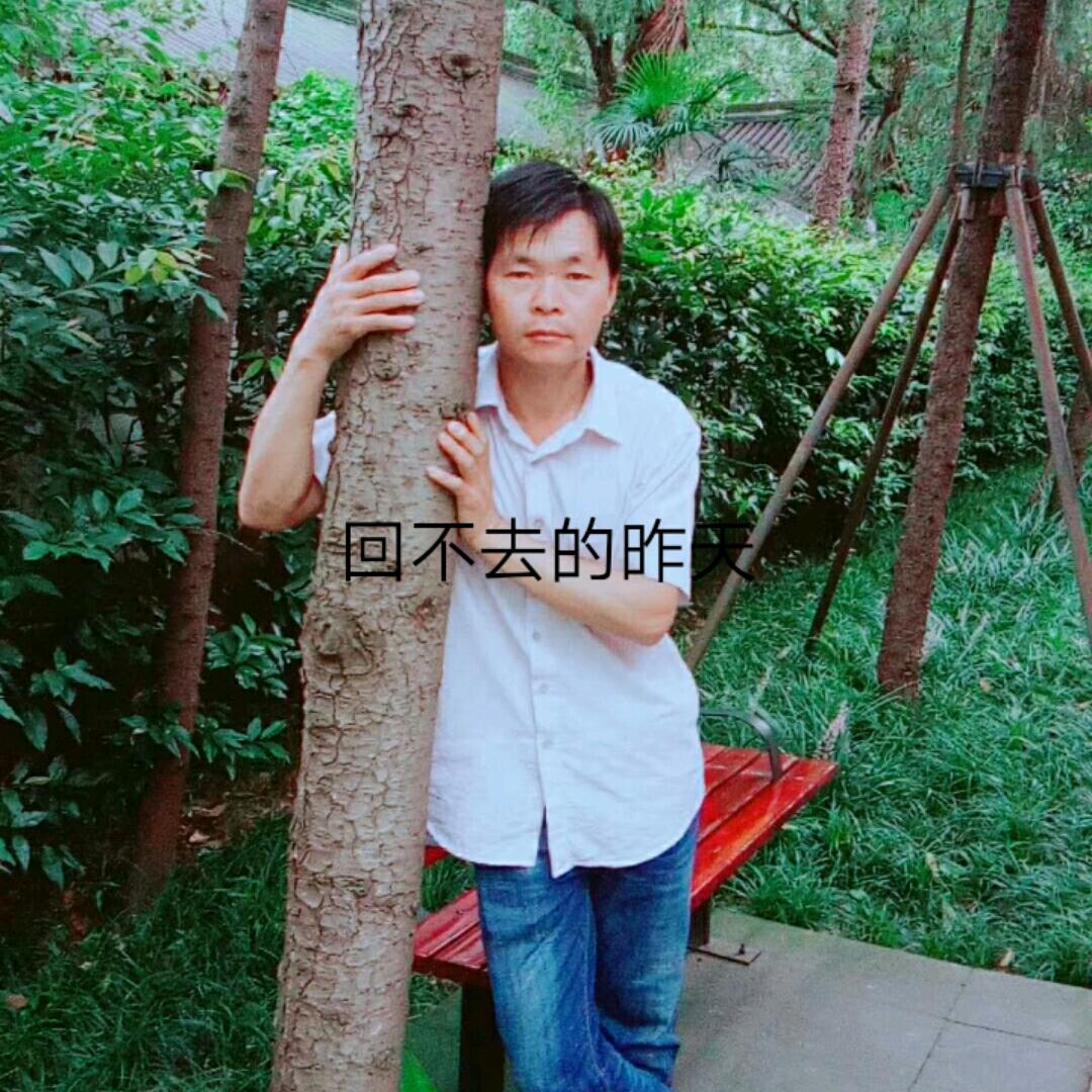 花中蝶