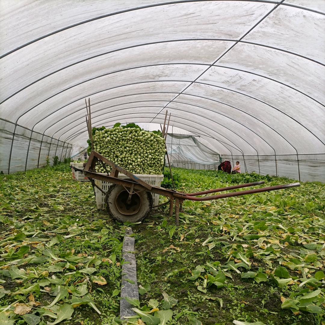 抬头即是风景