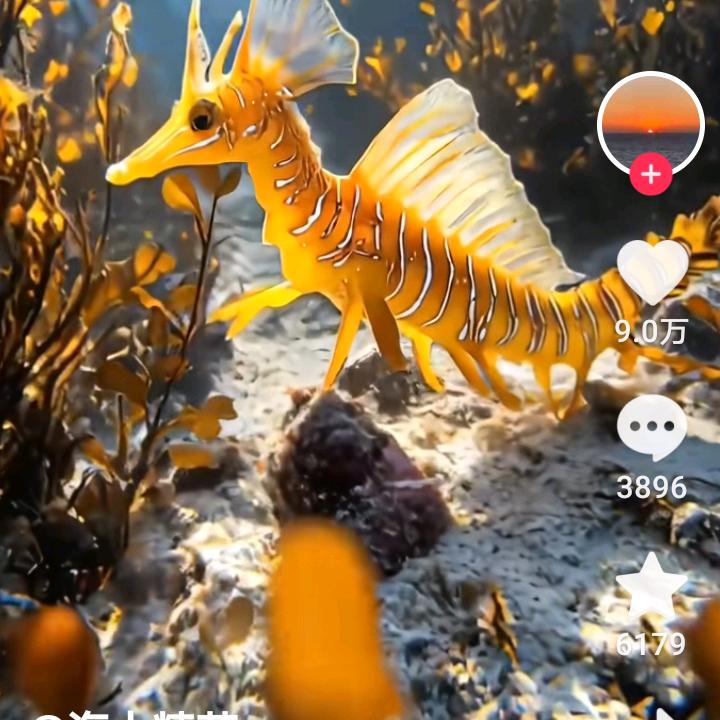 🐉🐉🐉老头哥🐉🐉🐉