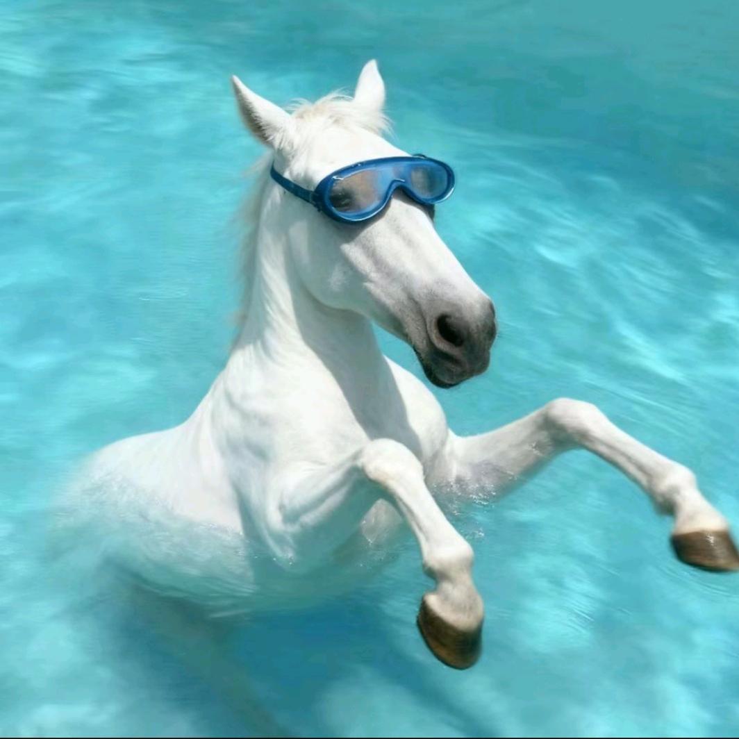 飞机票（赴过宴版