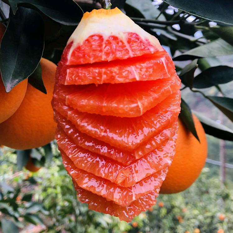 橙亿鲜果小铺