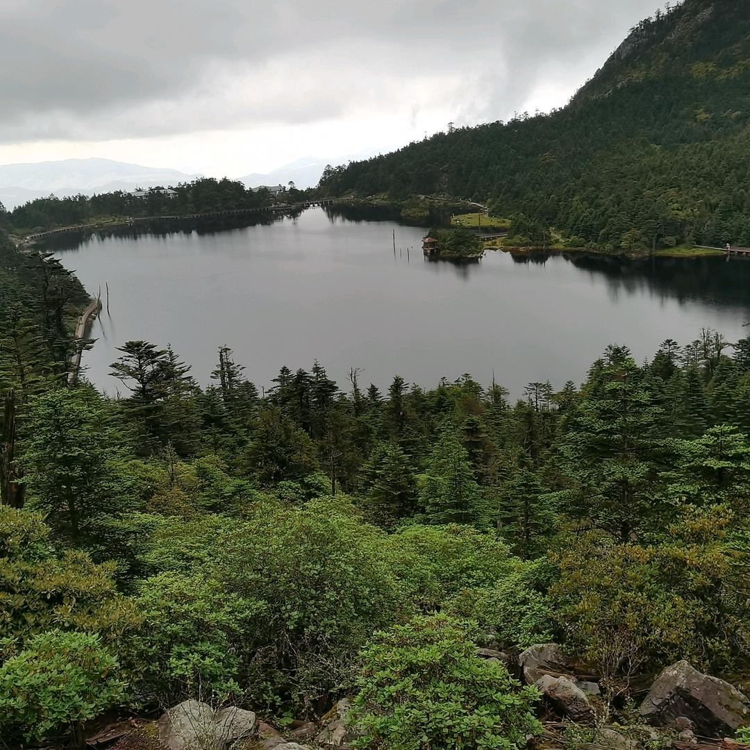 $良陈美景⁵²⁰%