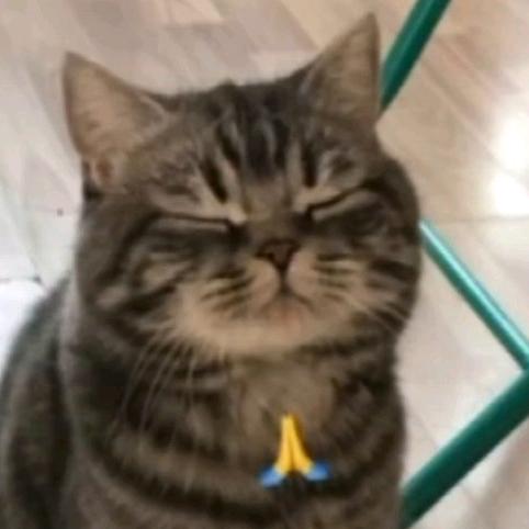 梨啦啦