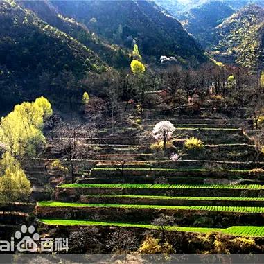 欢迎大家入住鹏宇度假村