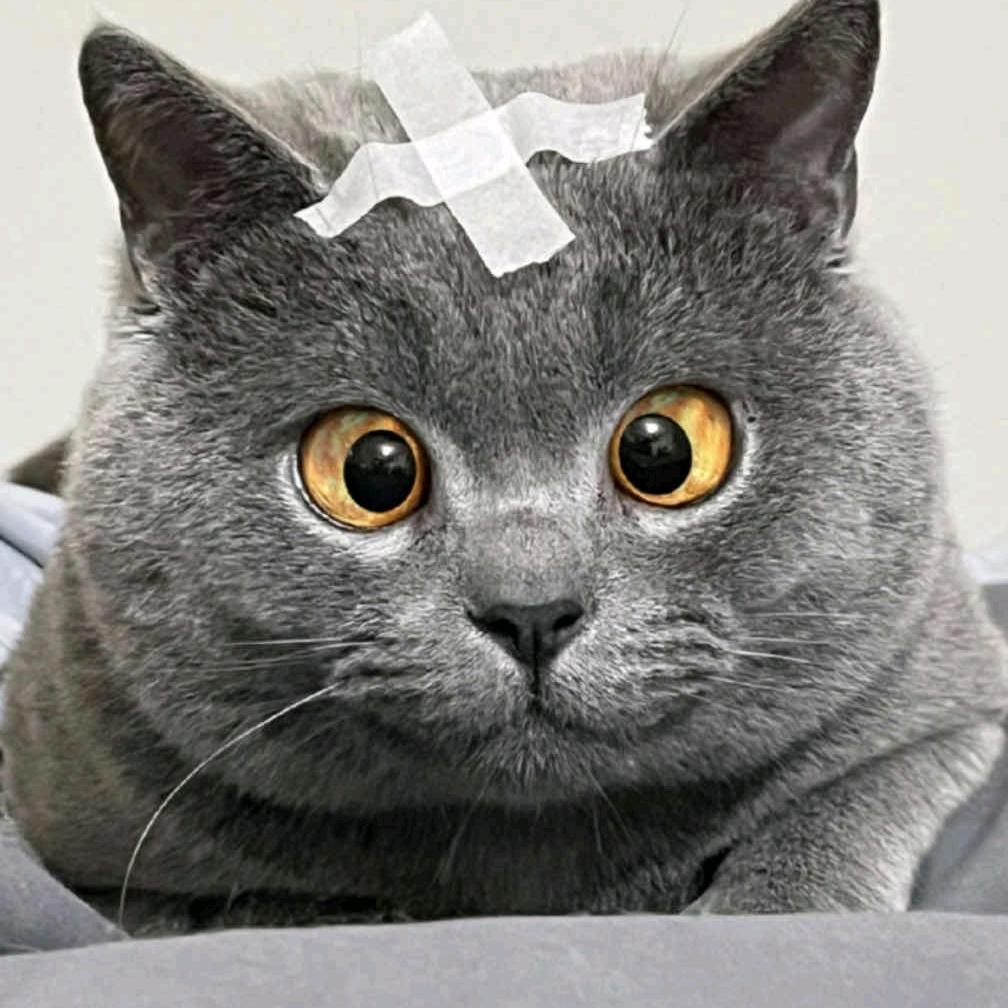 风散了.