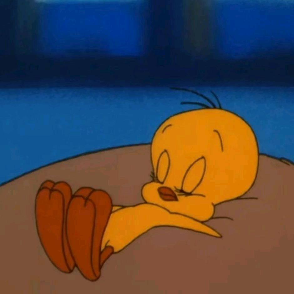 巧巧爱吃巧克力