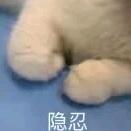 赴我南彦.